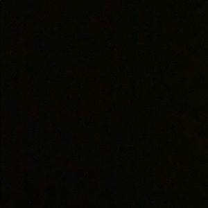 Meet your Posher, Forrest